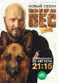 сериал Пёс